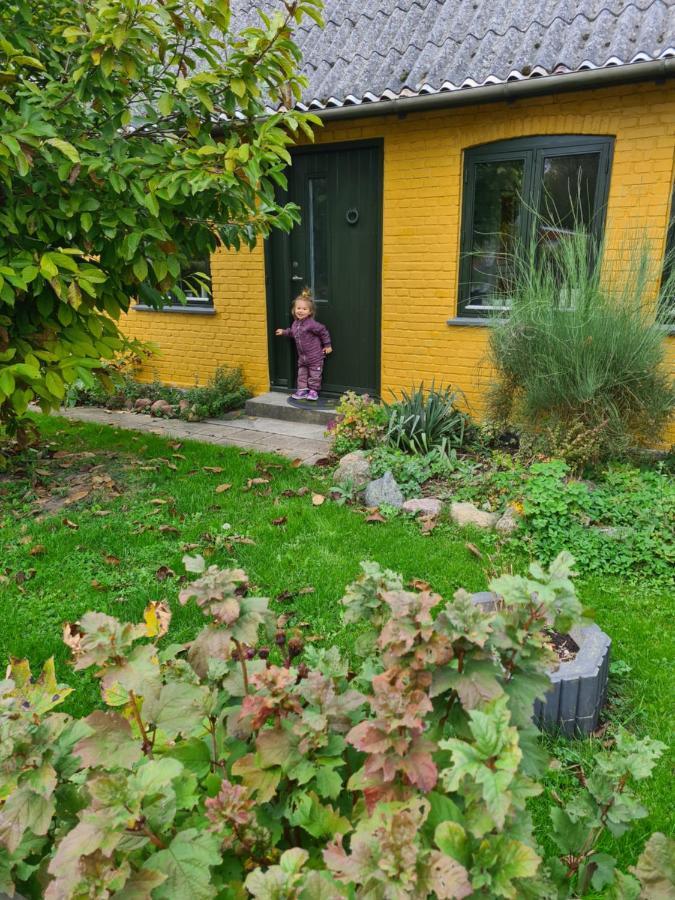Inspiration Center Denmark, Bed & Breakfast 마리보 외부 사진